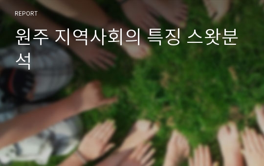 원주 지역사회의 특징 스왓분석