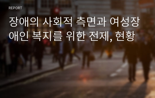 장애의 사회적 측면과 여성장애인 복지를 위한 전제, 현황