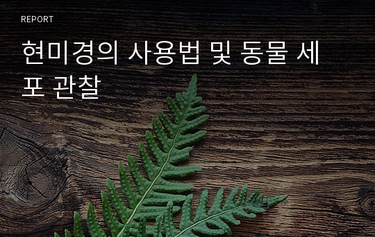 현미경의 사용법 및 동물 세포 관찰