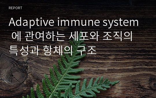 Adaptive immune system 에 관여하는 세포와 조직의 특성과 항체의 구조