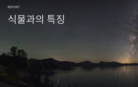 식물과의 특징