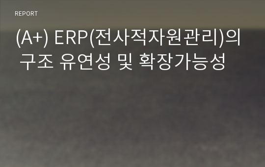 (A+) ERP(전사적자원관리)의 구조 유연성 및 확장가능성