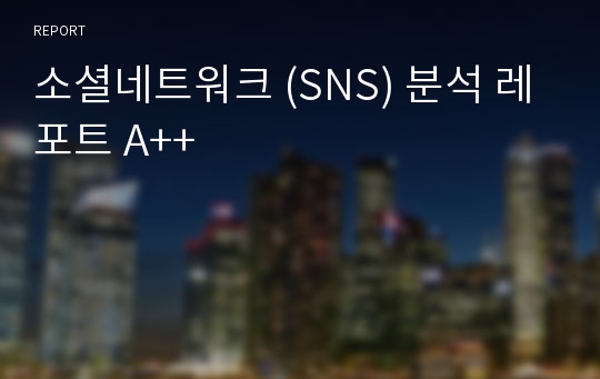 소셜네트워크 (SNS) 분석 레포트 A++