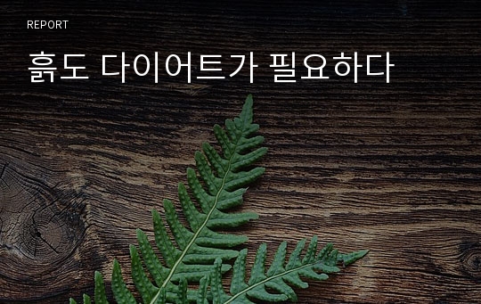 흙도 다이어트가 필요하다