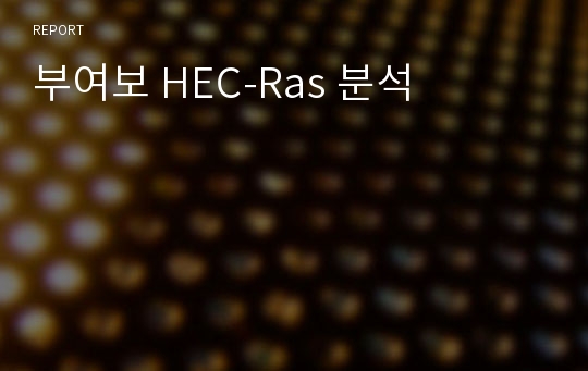 부여보 HEC-Ras 분석