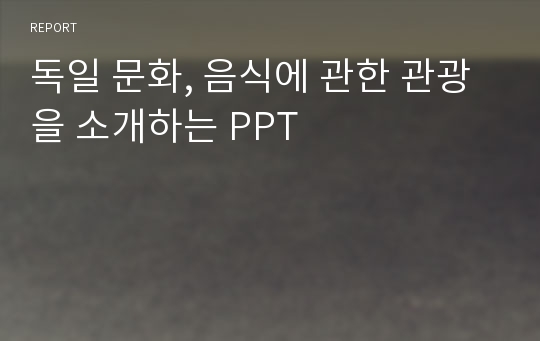 독일 문화, 음식에 관한 관광을 소개하는 PPT