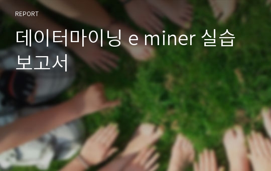 데이터마이닝 e miner 실습 보고서