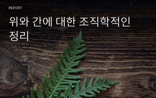 위와 간에 대한 조직학적인 정리