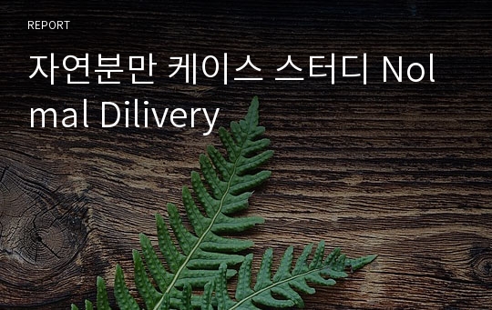 자연분만 케이스 스터디 Nolmal Dilivery