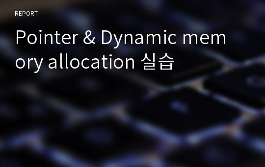 Pointer &amp; Dynamic memory allocation 실습