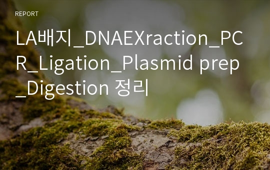 LA배지_DNAEXraction_PCR_Ligation_Plasmid prep_Digestion 정리