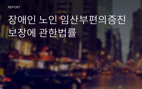 장애인 노인 임산부편의증진보장에 관한법률