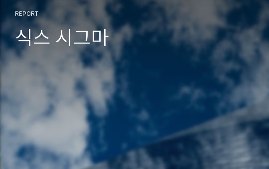 식스 시그마