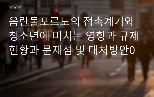 음란물포르노의 접촉계기와 청소년에 미치는 영향과 규제현황과 문제점 및 대처방안0