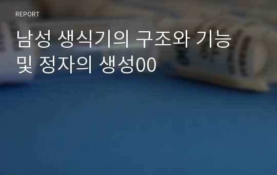 남성 생식기의 구조와 기능 및 정자의 생성00