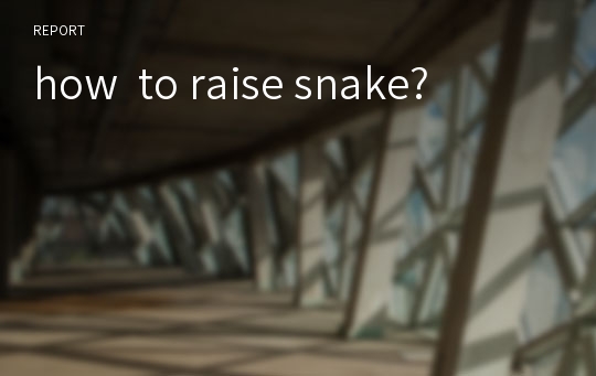 how  to raise snake?