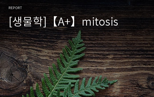 [생물학]【A+】mitosis