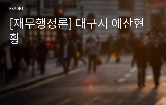 [재무행정론] 대구시 예산현황