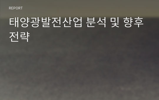 태양광발전산업 분석 및 향후전략