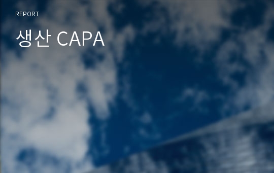 생산 CAPA