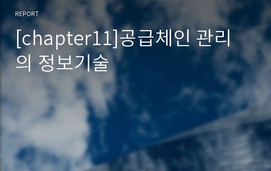 [chapter11]공급체인 관리의 정보기술