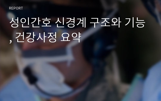 성인간호 신경계 구조와 기능, 건강사정 요약