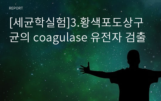 [세균학실험]3.황색포도상구균의 coagulase 유전자 검출