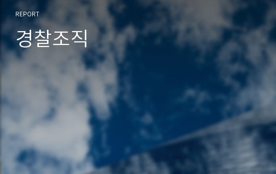 경찰조직