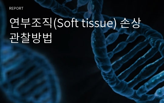 연부조직(Soft tissue) 손상 관찰방법