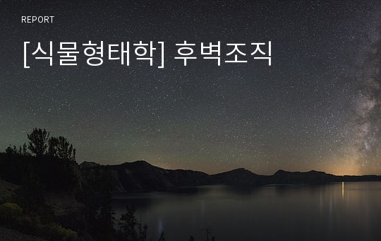 [식물형태학] 후벽조직