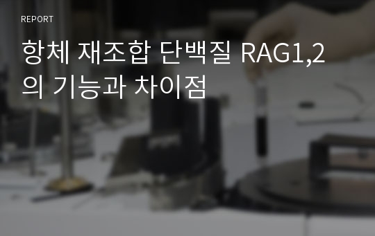 항체 재조합 단백질 RAG1,2의 기능과 차이점