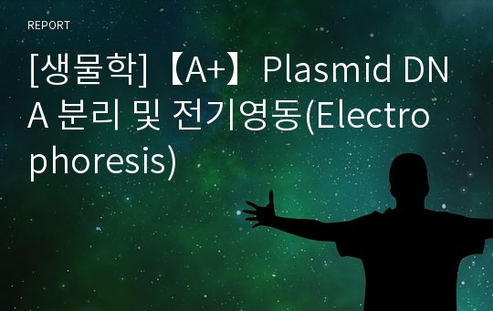 [생물학]【A+】Plasmid DNA 분리 및 전기영동(Electrophoresis)