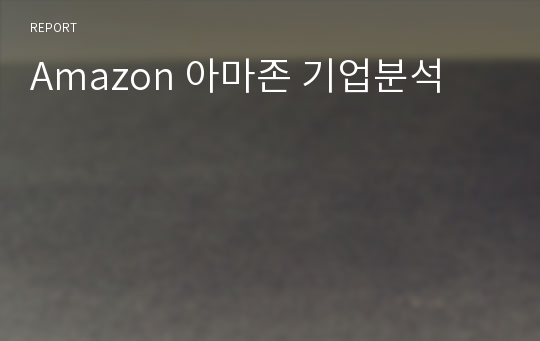 Amazon 아마존 기업분석