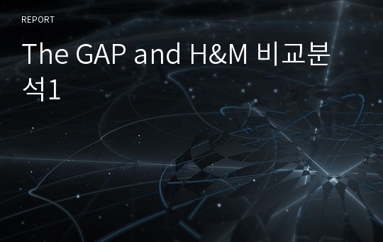 The GAP and H&amp;M 비교분석1