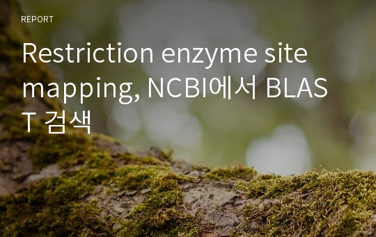 Restriction enzyme site mapping, NCBI에서 BLAST 검색