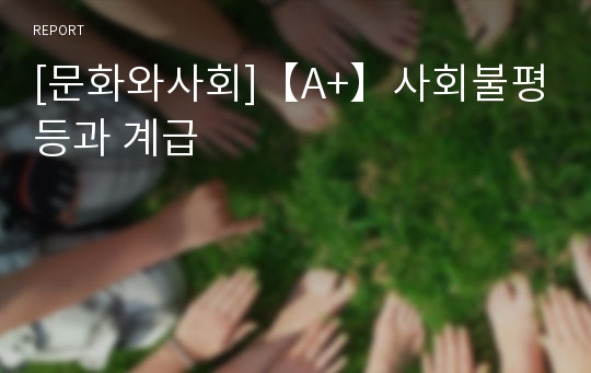 [문화와사회]【A+】사회불평등과 계급