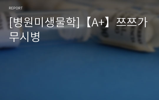 [병원미생물학]【A+】쯔쯔가무시병