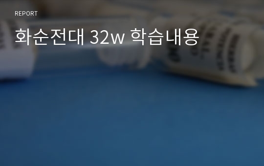 화순전대 32w 학습내용