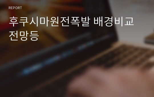 후쿠시마원전폭발 배경비교전망등