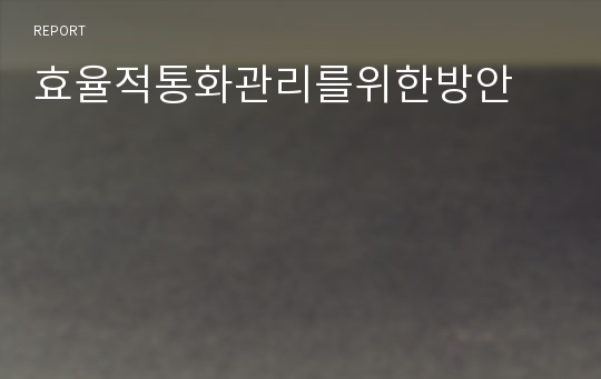 효율적통화관리를위한방안