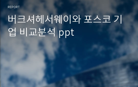 버크셔헤서웨이와 포스코 기업 비교분석 ppt