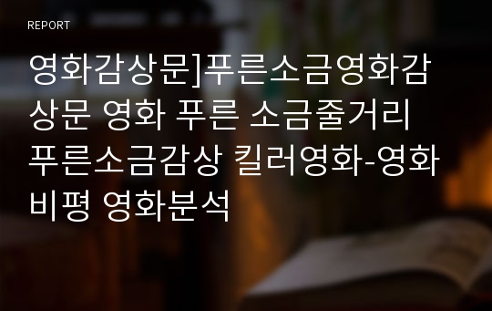 영화감상문]푸른소금영화감상문 영화 푸른 소금줄거리 푸른소금감상 킬러영화-영화비평 영화분석