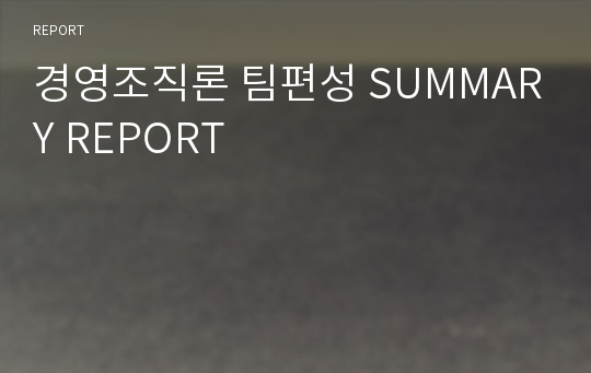 경영조직론 팀편성 SUMMARY REPORT