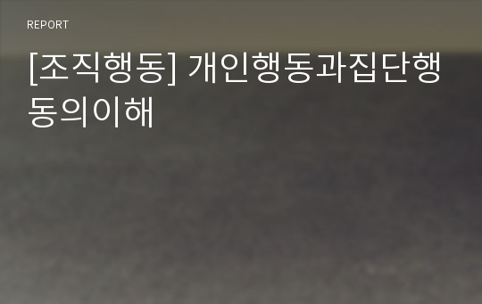 [조직행동] 개인행동과집단행동의이해