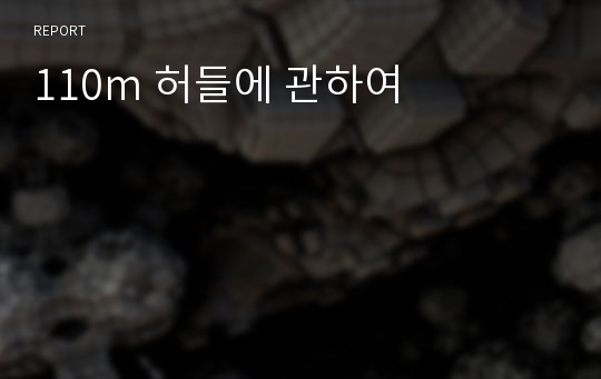 110m 허들에 관하여