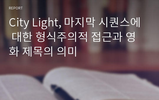 City Light, 마지막 시퀀스에 대한 형식주의적 접근과 영화 제목의 의미