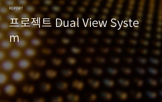 프로젝트 Dual View System