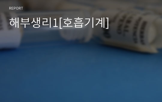 해부생리1[호흡기계]