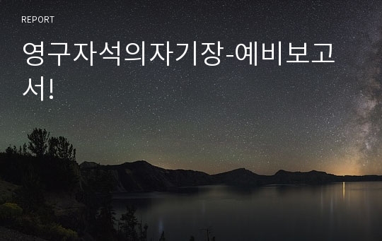 영구자석의자기장-예비보고서!