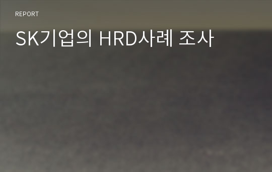 SK기업의 HRD사례 조사